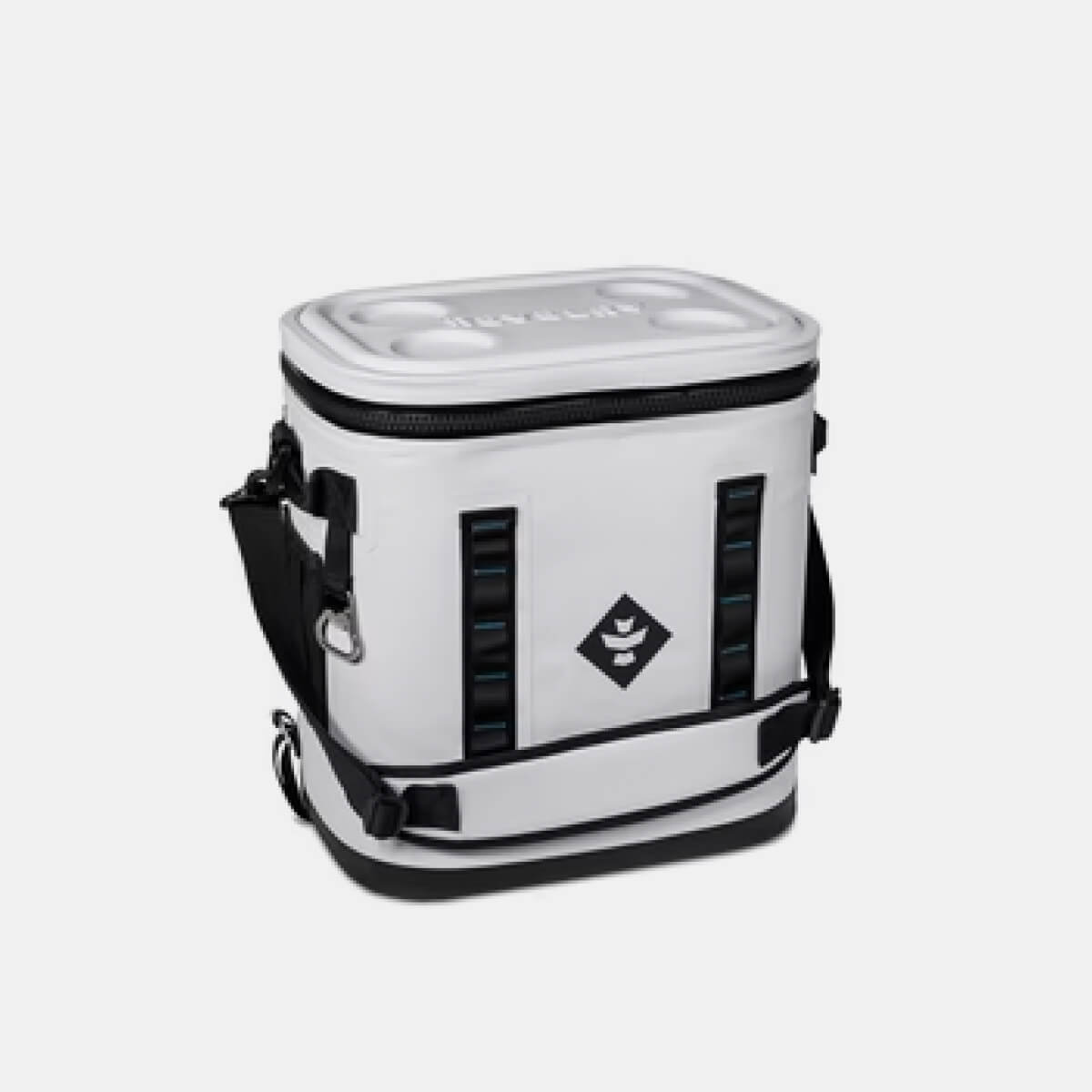 Coolers bags
